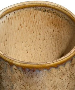 Leonardo Espressotasse MATERA 90 Ml Beige, 4er-Set -WMF Geschäft 210 018595 3 K