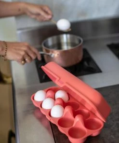 Koziol Eierbox In Coral -WMF Geschäft 7179 EGGS TO GO 704 6